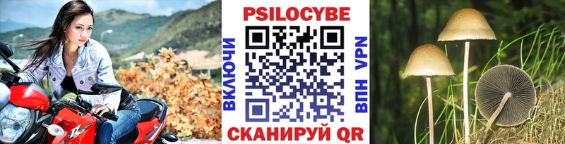 Галлюциногенные грибы Cubensis  даркнет Telegram  Усмань 